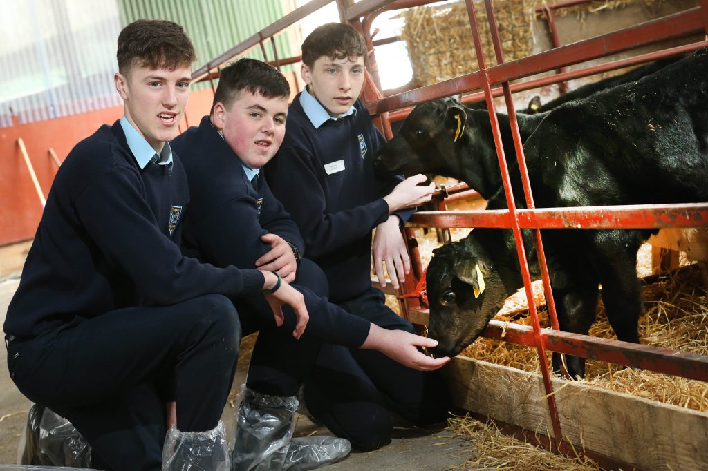 L-R: Conor Murphy, Ciaran McManus , Dylan Cronin