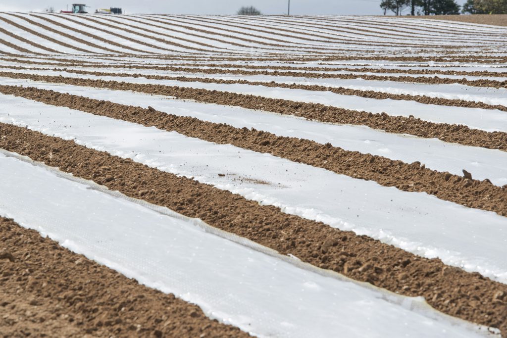 Image source: O’Gorman Photography