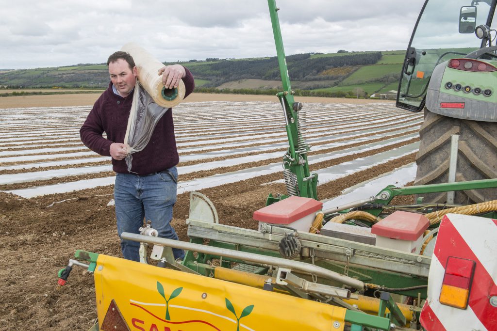 Image source: O’Gorman Photography