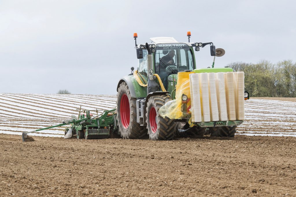 Image source: O’Gorman Photography