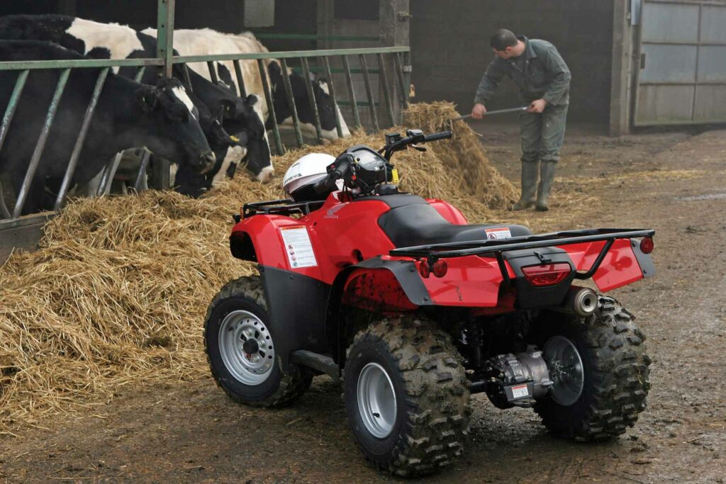 Quads are popular choices among thieves