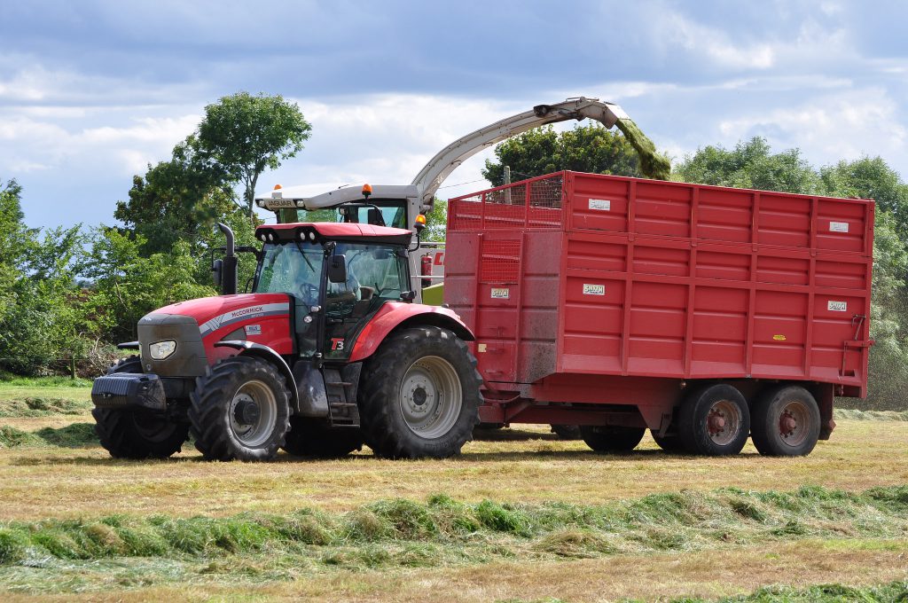 Image source: Shane Casey