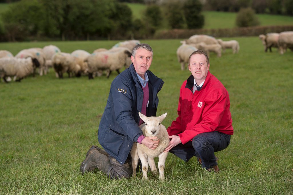 Farmer Anthony Moran and Ronan Collins, Kepak Lamb Procurement Manager