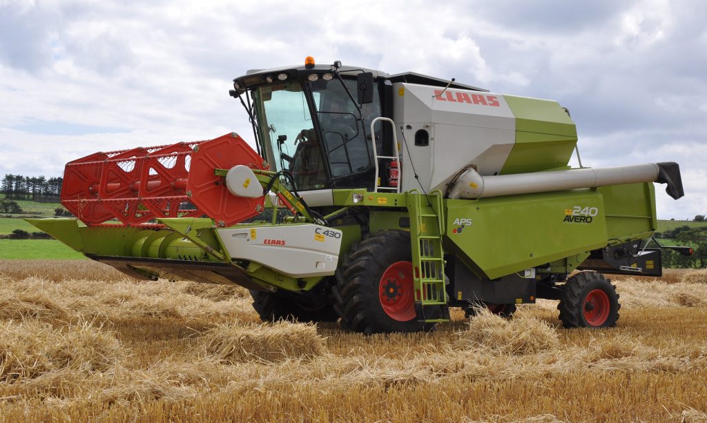 Image source: Shane Casey