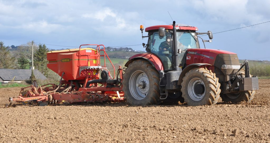 Image source: Shane Casey