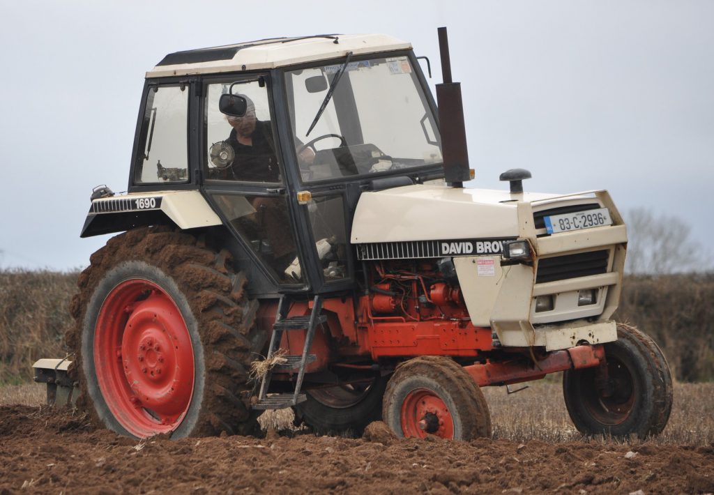 Image source: Shane Casey