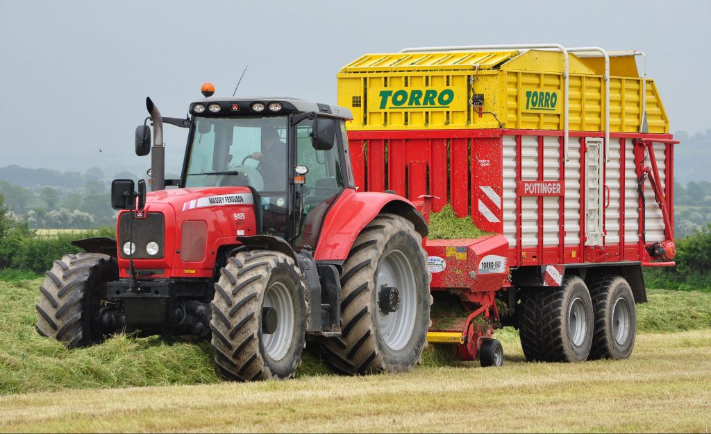 Image source: Shane Casey