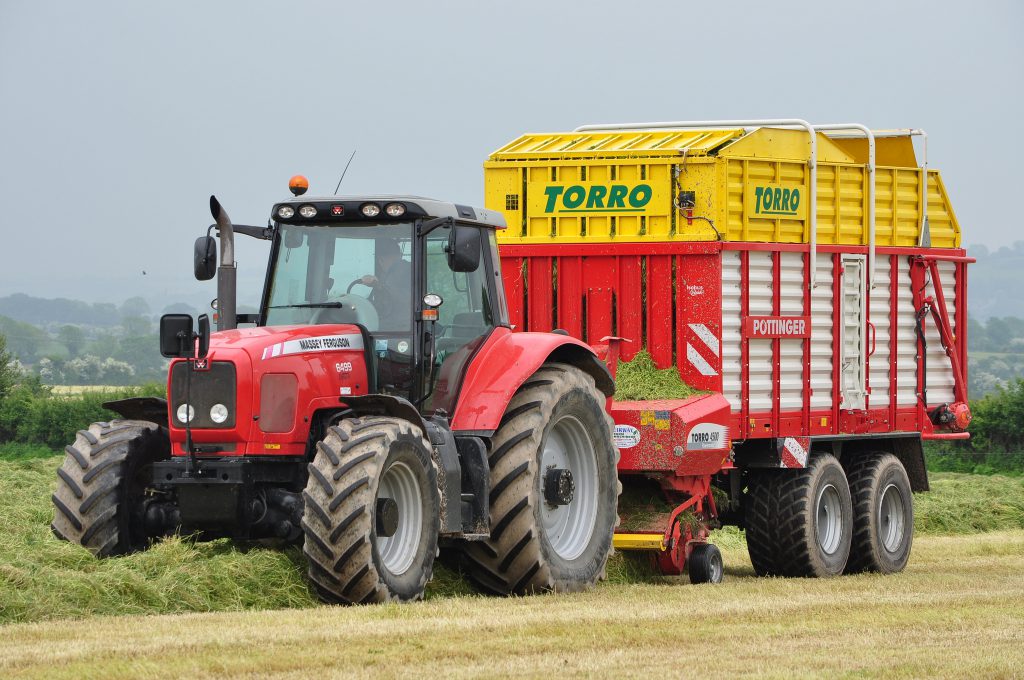 Image source: Shane Casey