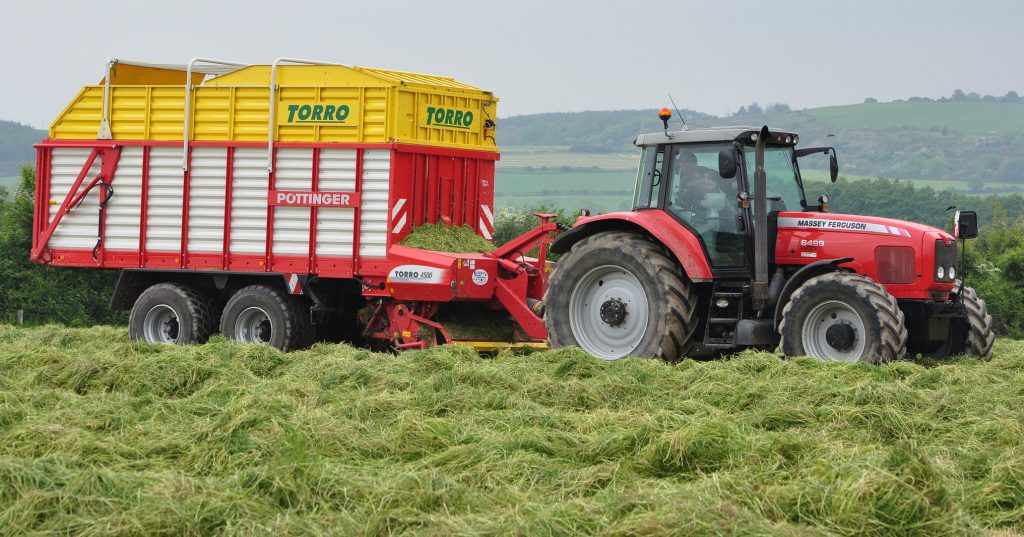 Image source: Shane Casey