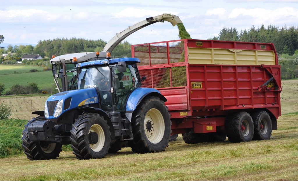 Image source: Shane Casey