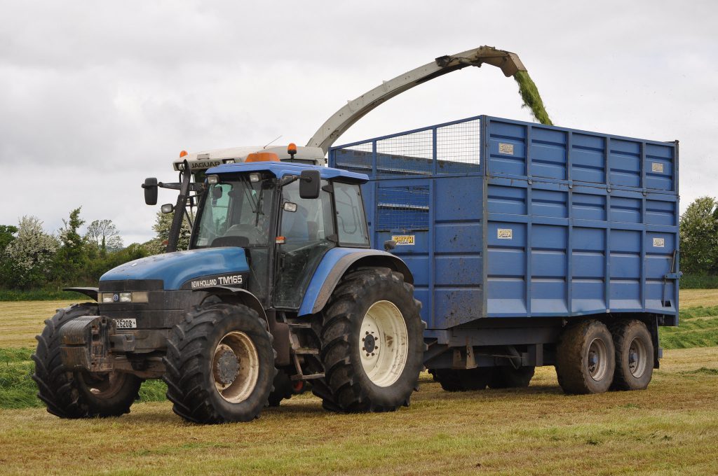 Image source: Shane Casey