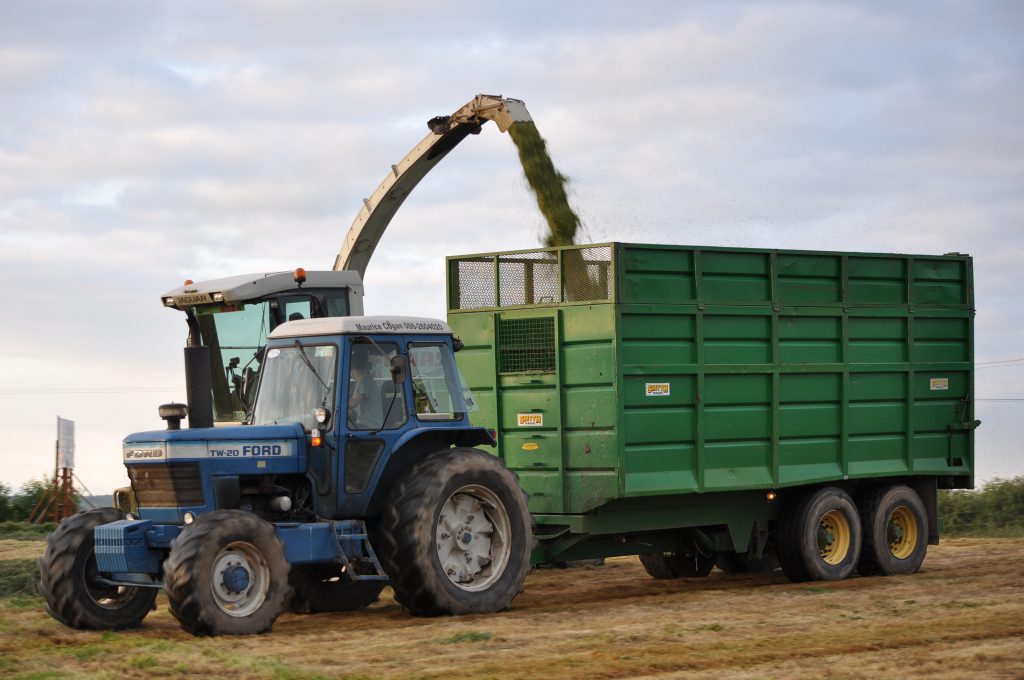 Image source: Shane Casey