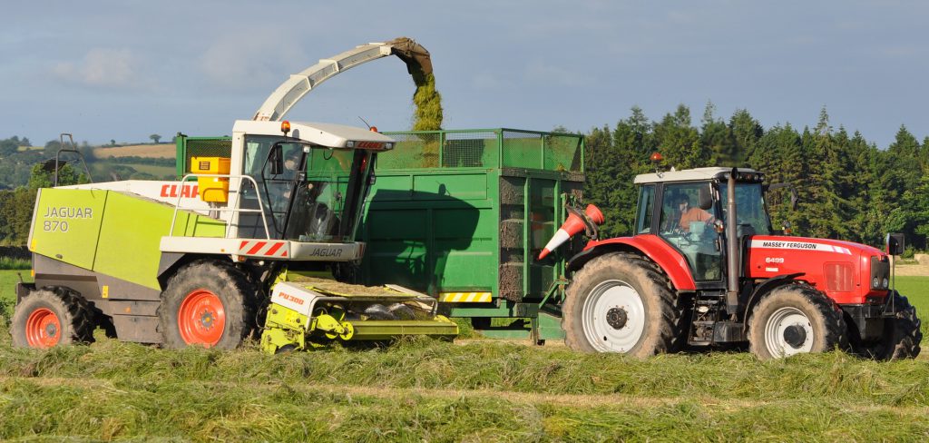 Image source: Shane Casey