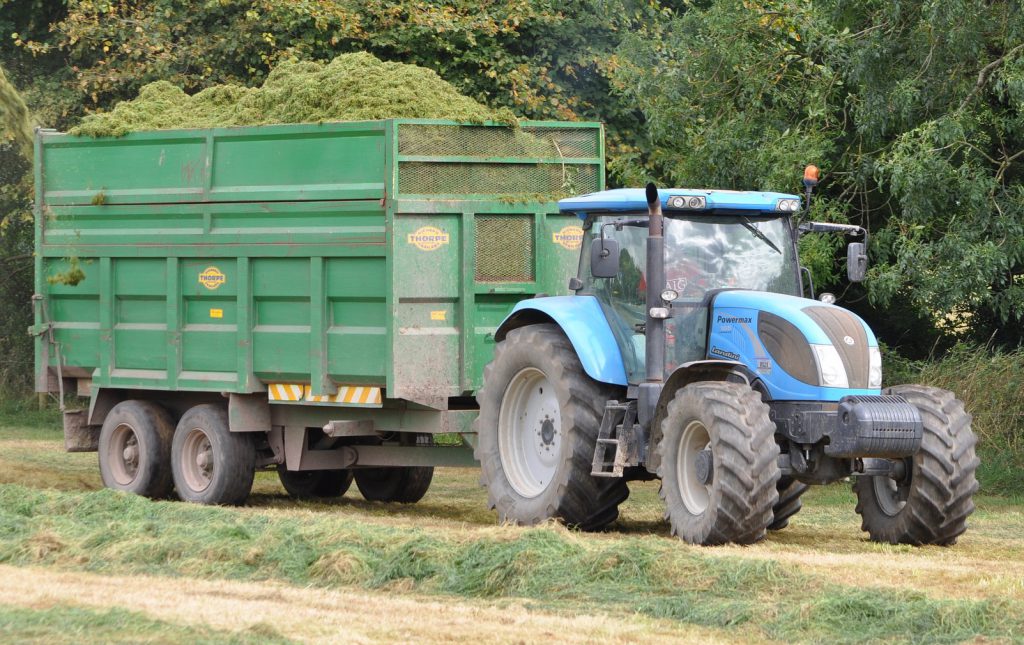 Image source: Shane Casey