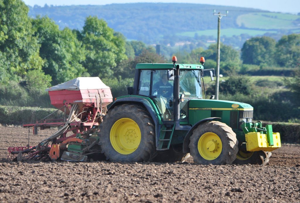 Image source: Shane Casey