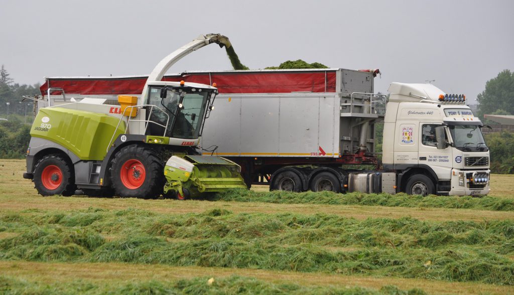 Image source: Shane Casey