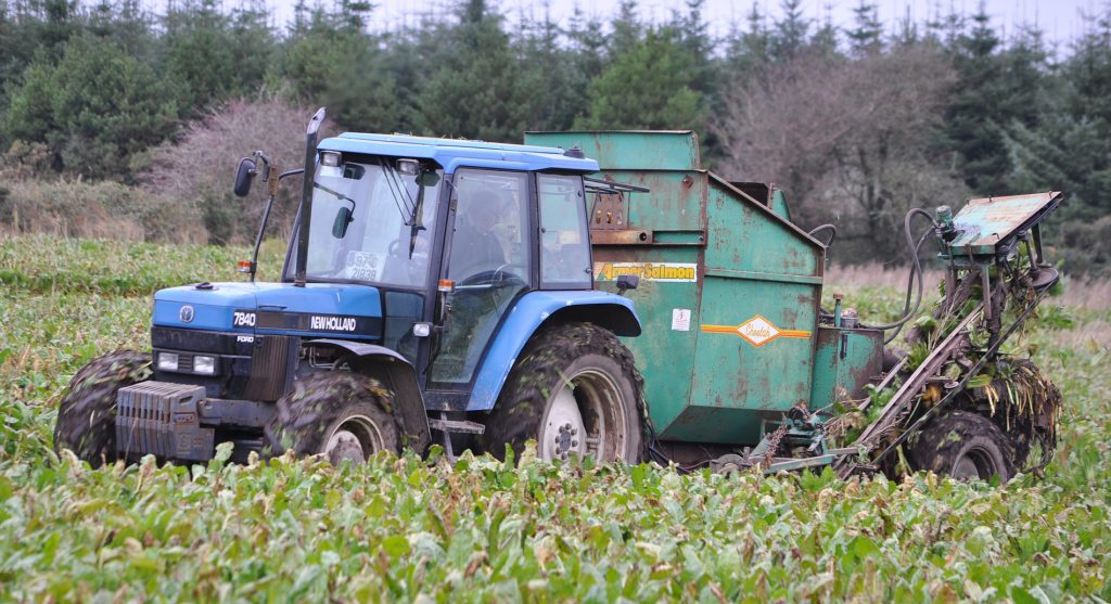 Image source: Shane Casey