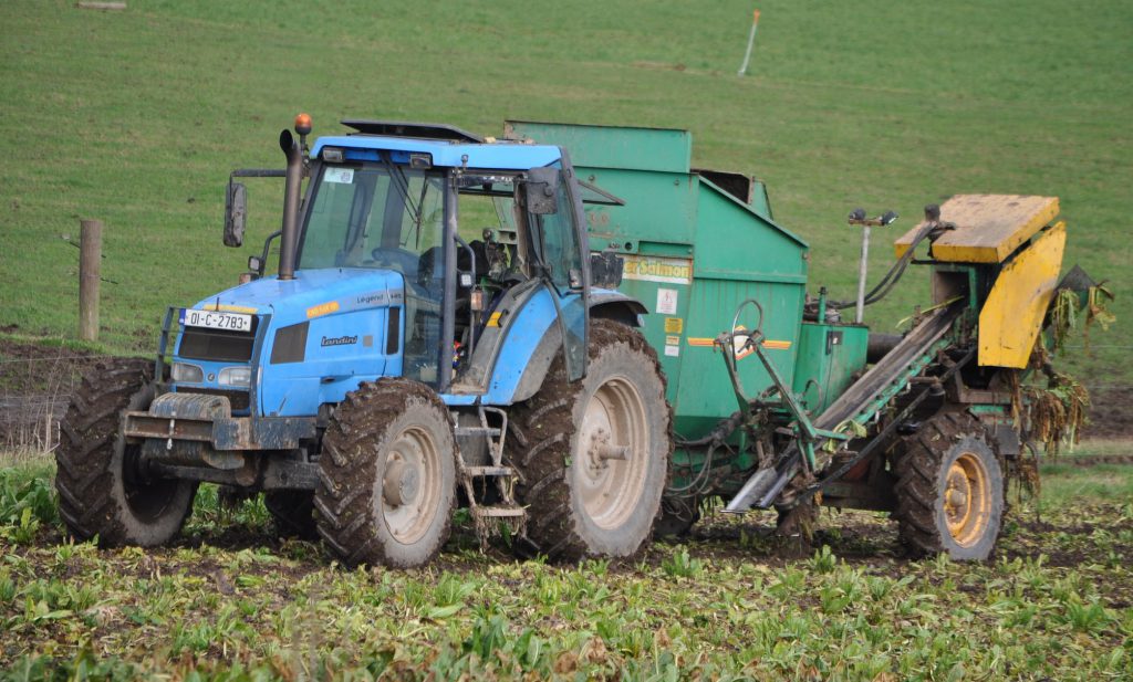 Image source: Shane Casey