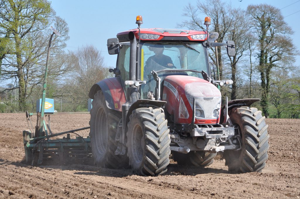 Image source: Shane Casey