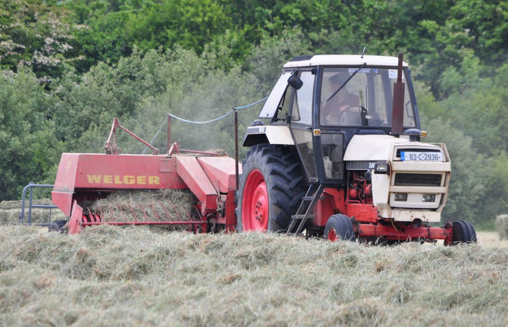 Image source: Shane Casey