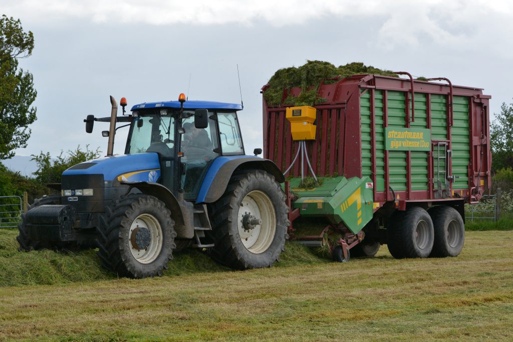 Image source: Shane Casey