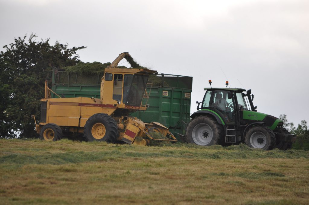 Image source: Shane Casey