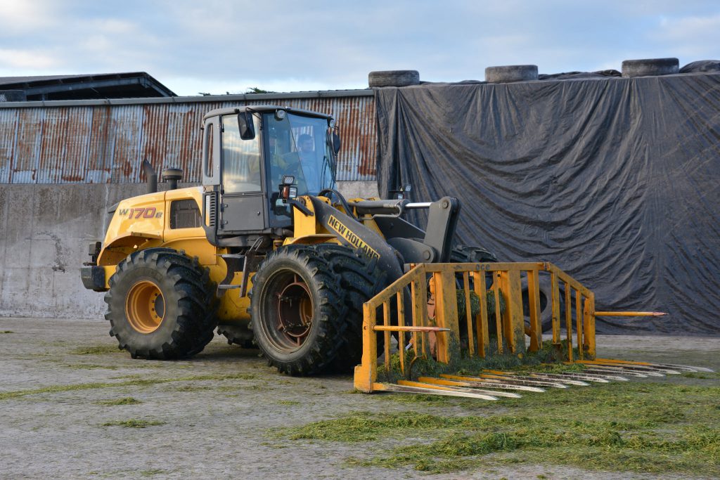 Image source: Shane Casey