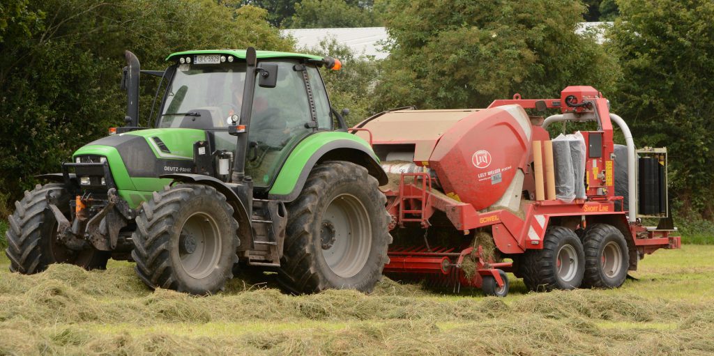 Image source: Shane Casey