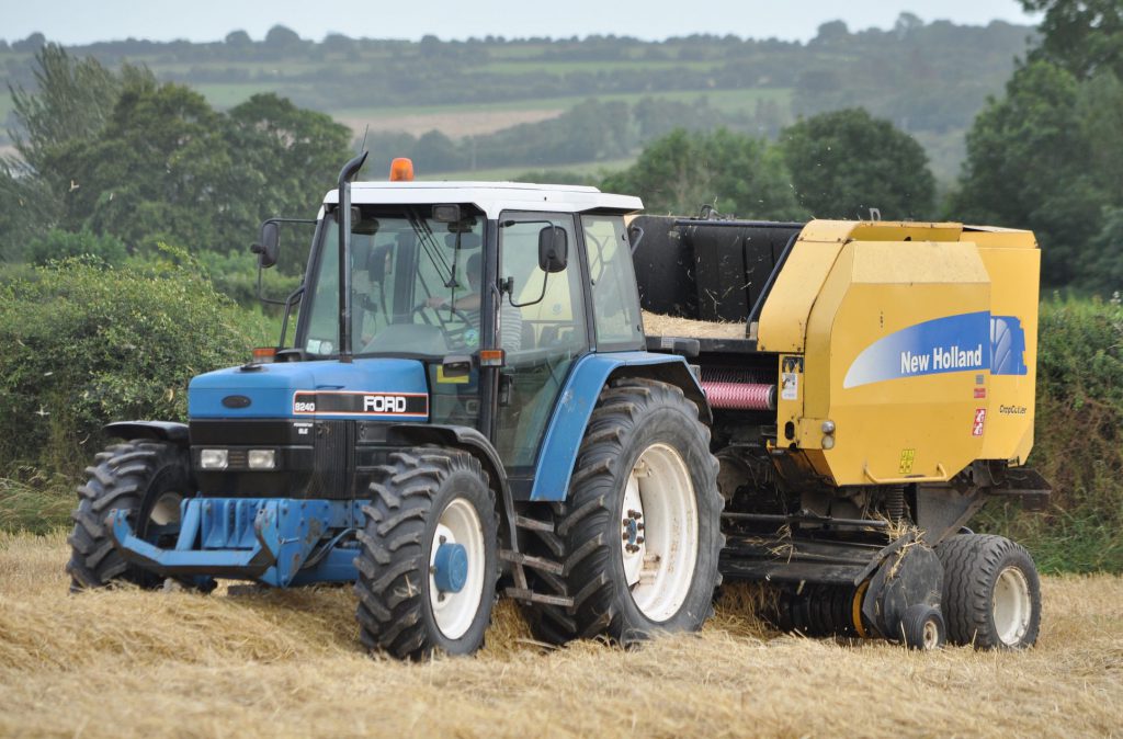 Image source: Shane Casey