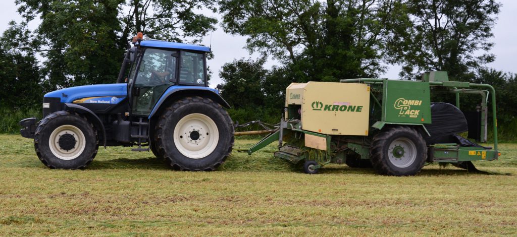 Image source: Shane Casey