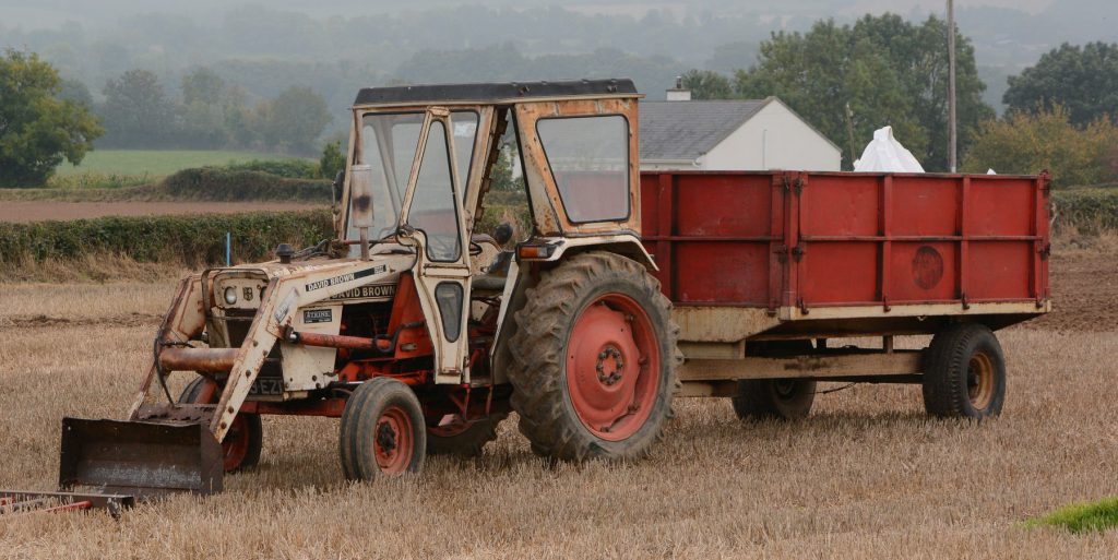 Image source: Shane Casey