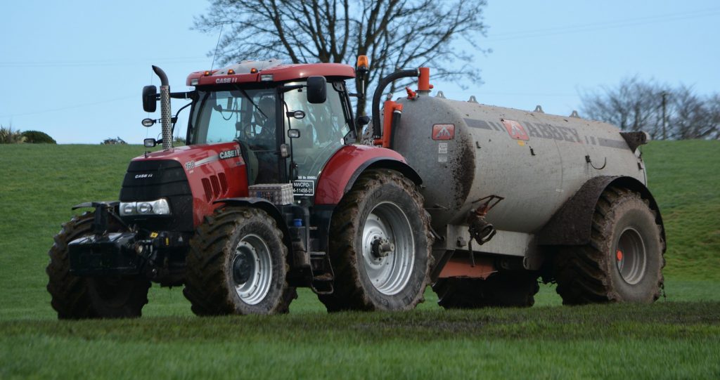 Image source: Shane Casey