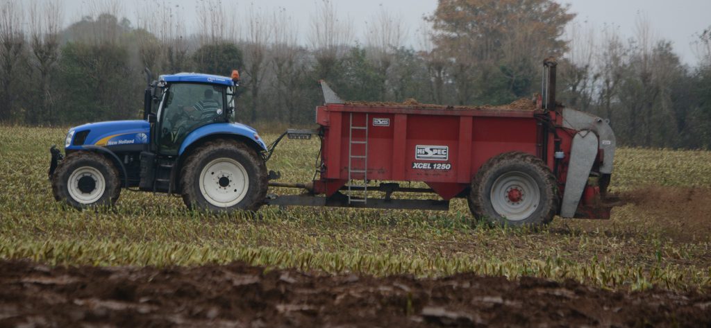 Image source: Shane Casey