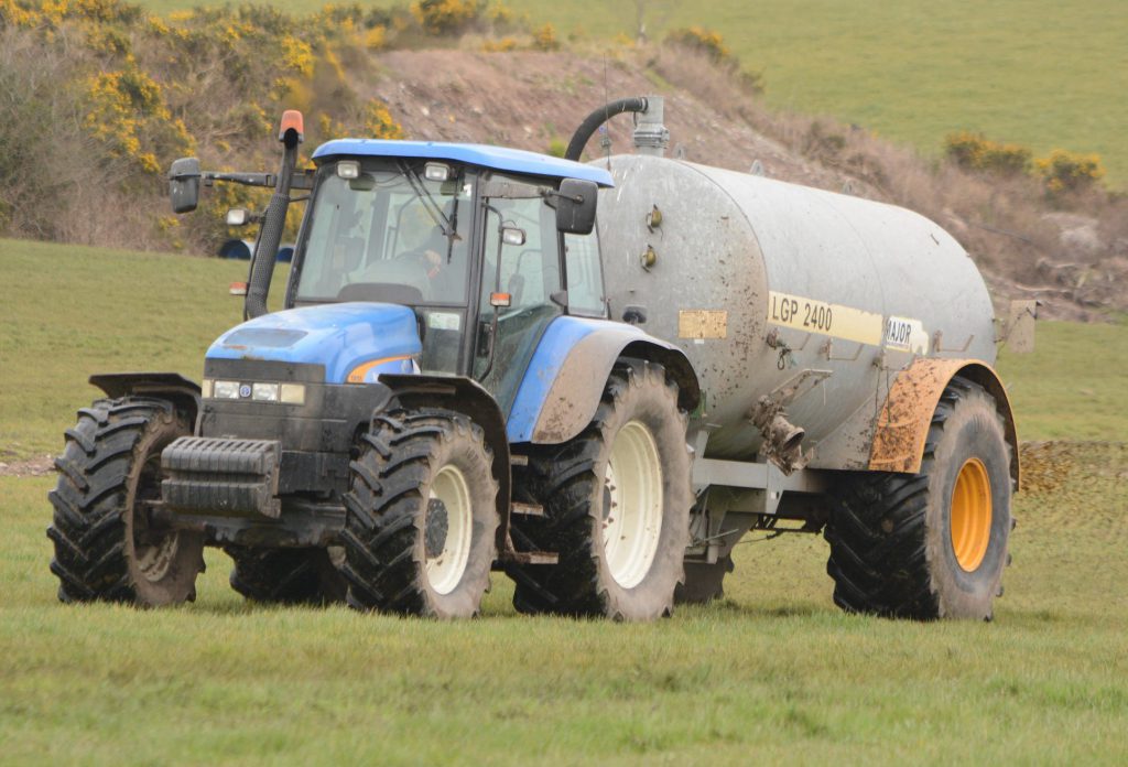 Image source: Shane Casey