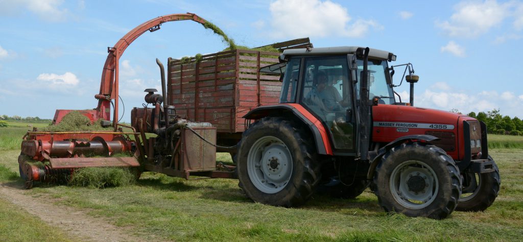 Image source: Shane Casey