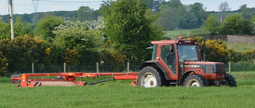 Image source: Shane Casey