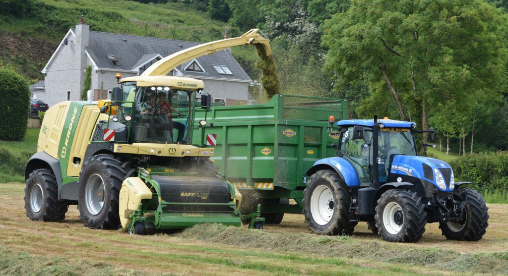 Image source: Shane Casey