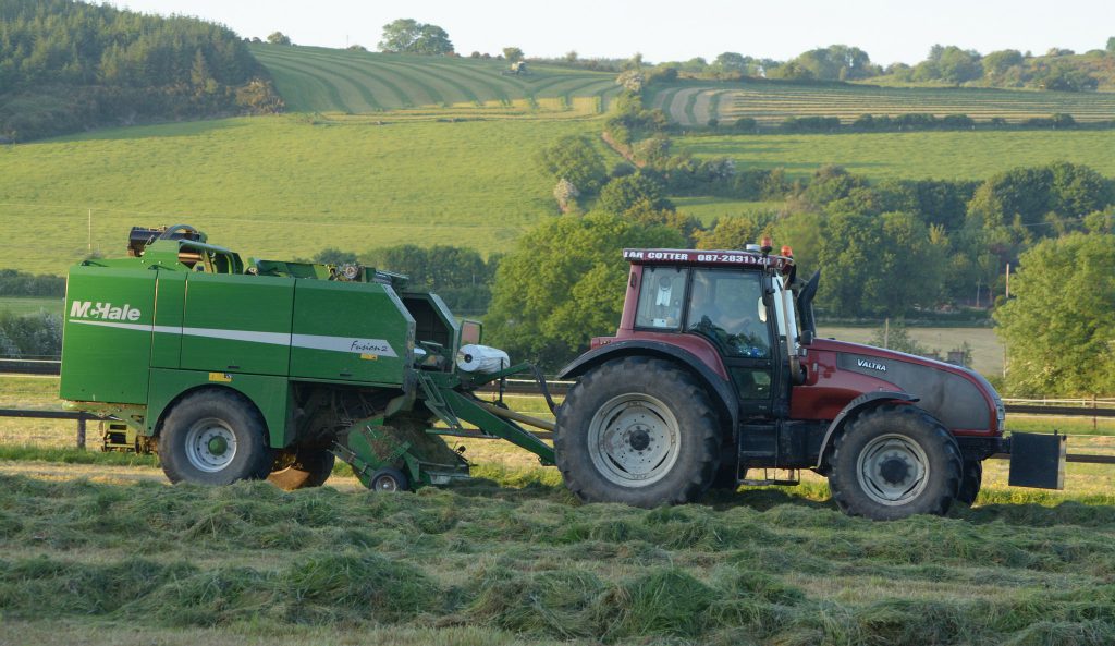 Image source: Shane Casey