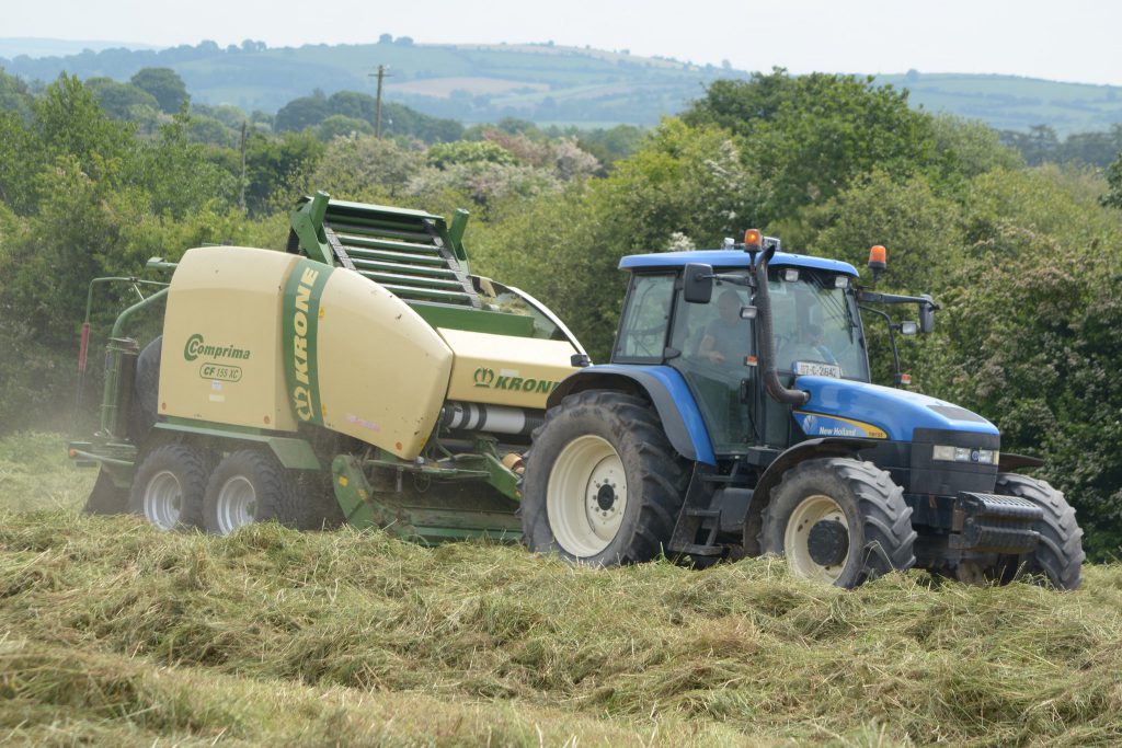 Image source: Shane Casey