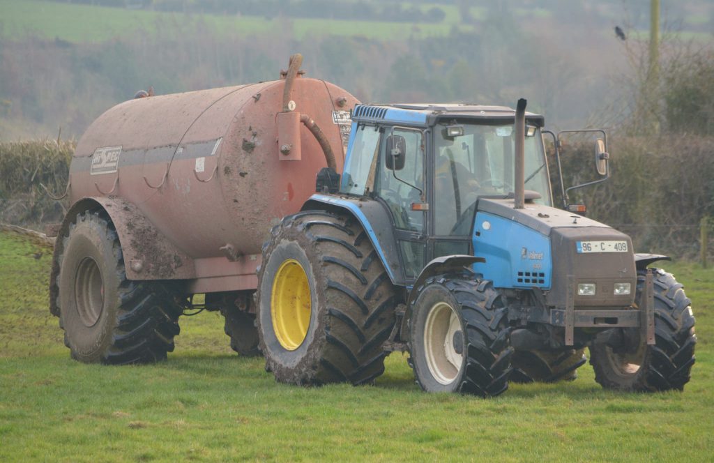 Image source: Shane Casey