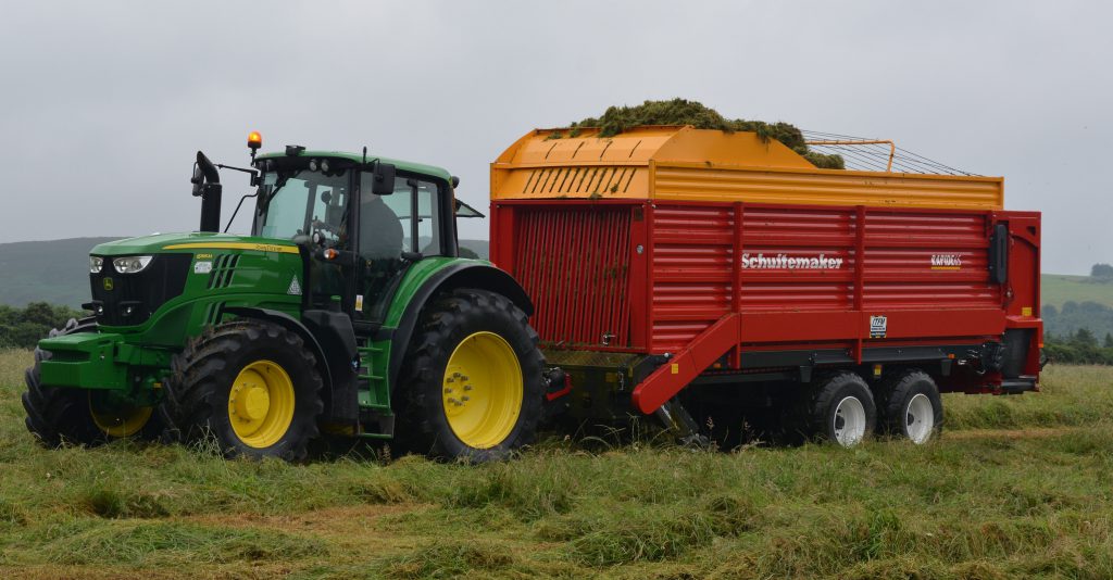 Image source: Shane Casey