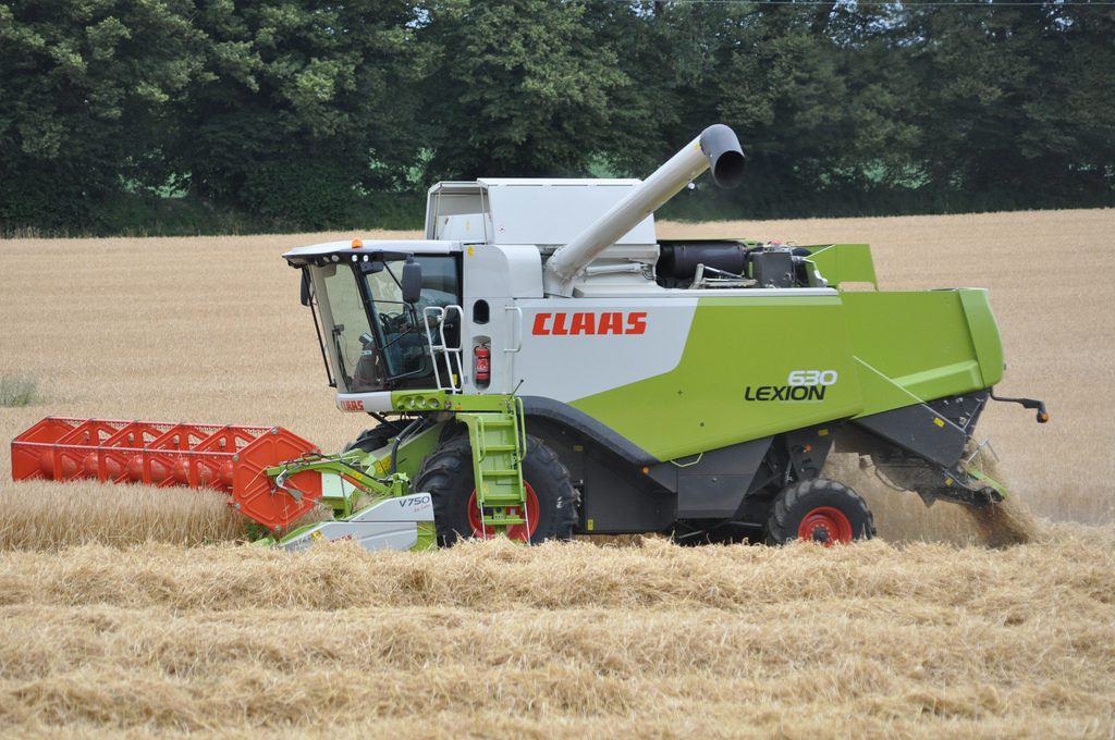 Image source: Shane Casey