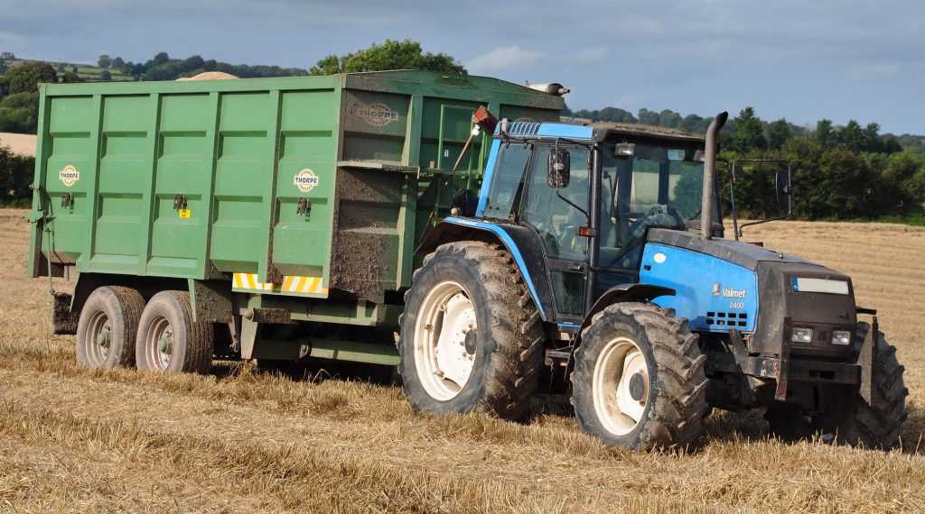 Image source: Shane Casey