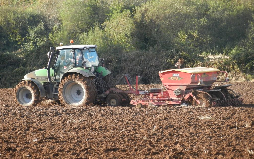 Image source: Shane Casey