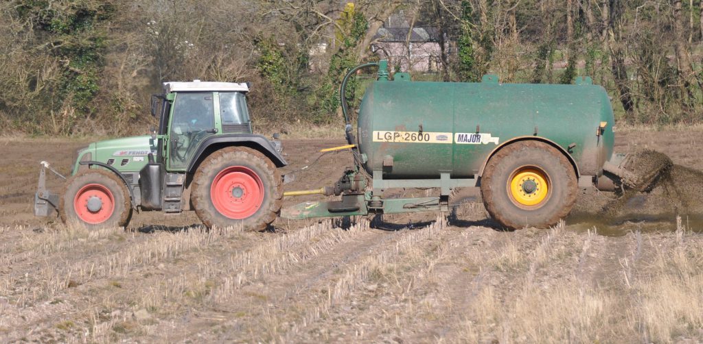 Image source: Shane Casey