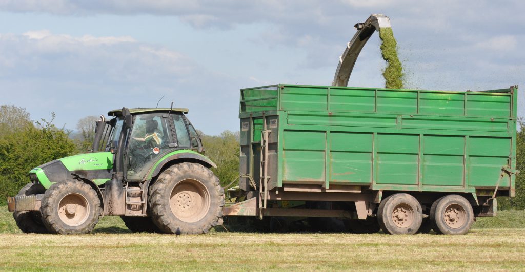 Image source: Shane Casey