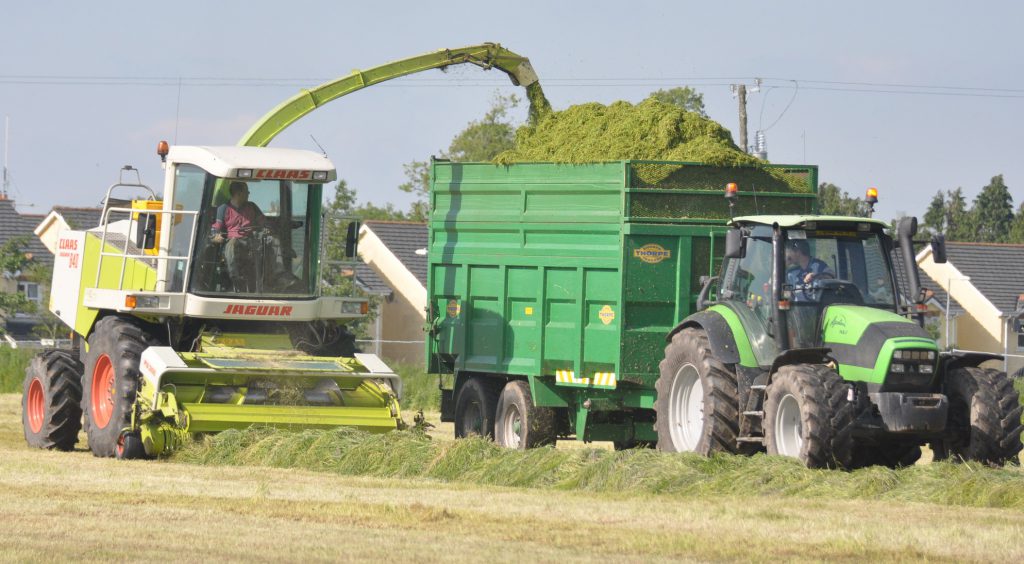 Image source: Shane Casey