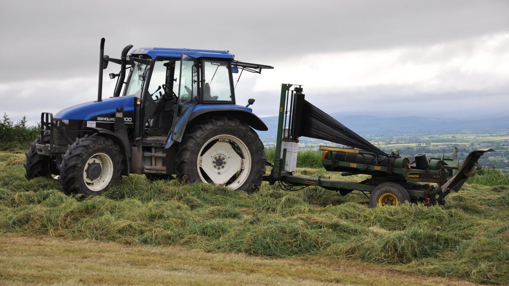 Image source: Shane Casey