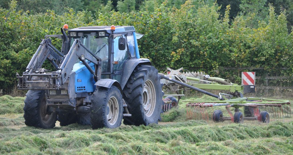 Image source: Shane Casey