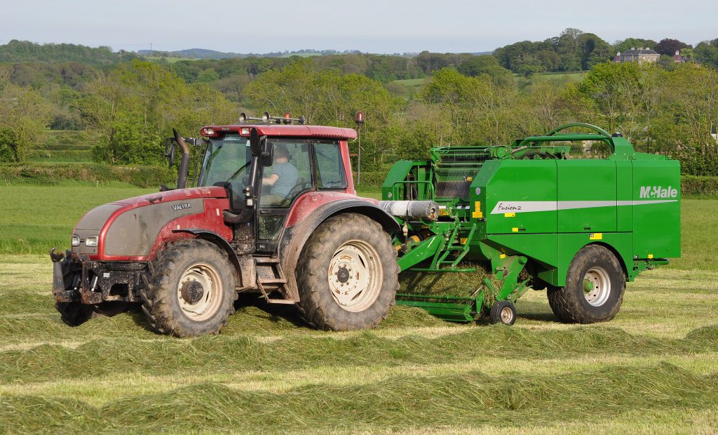 Image source: Shane Casey